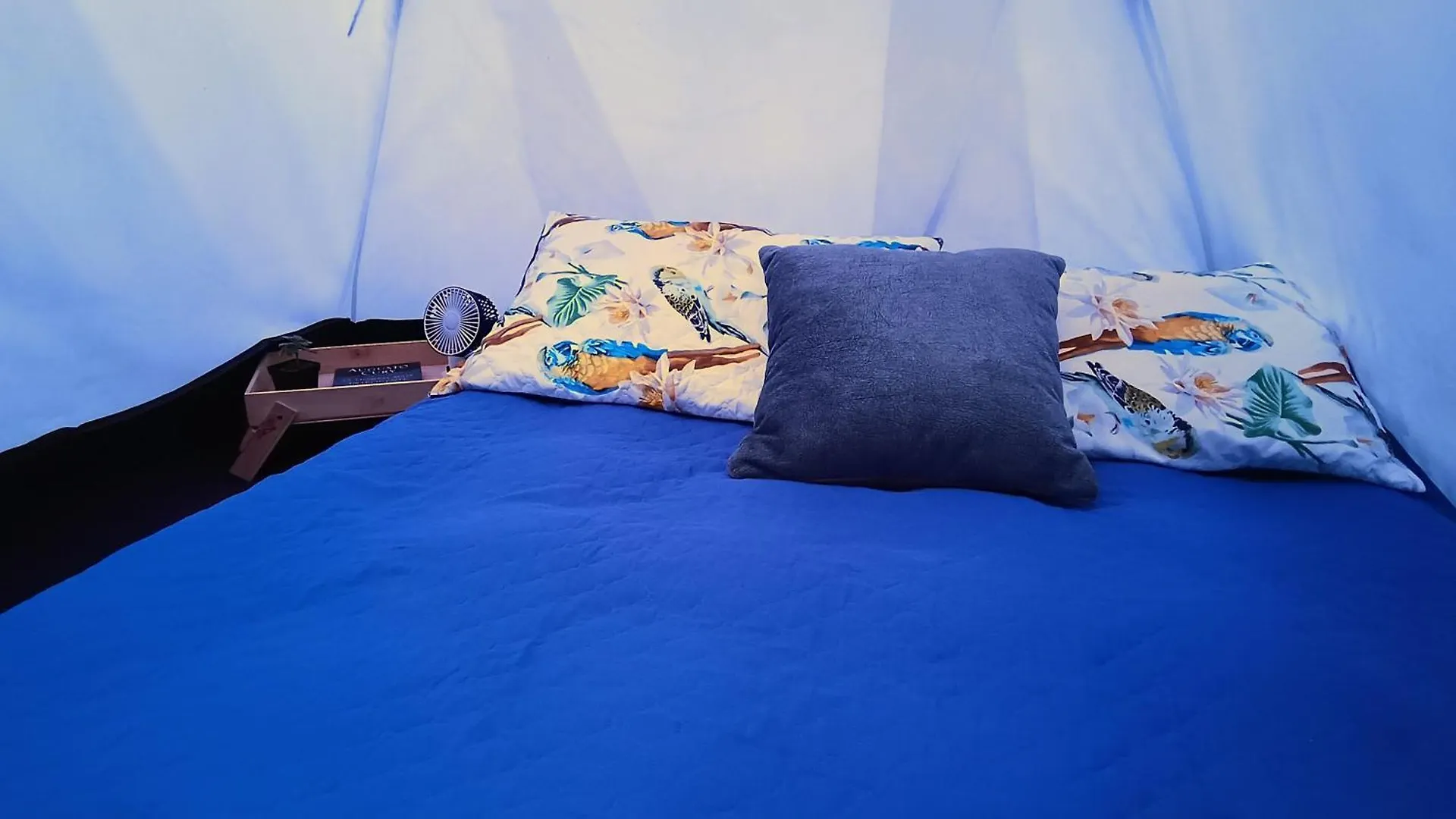 Moradia Laureles Medellin Apartment Homestay